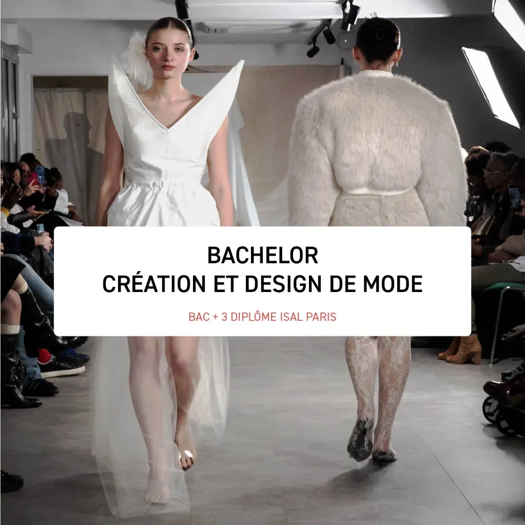 Bachelor 1 -  design and Co (AMOS)